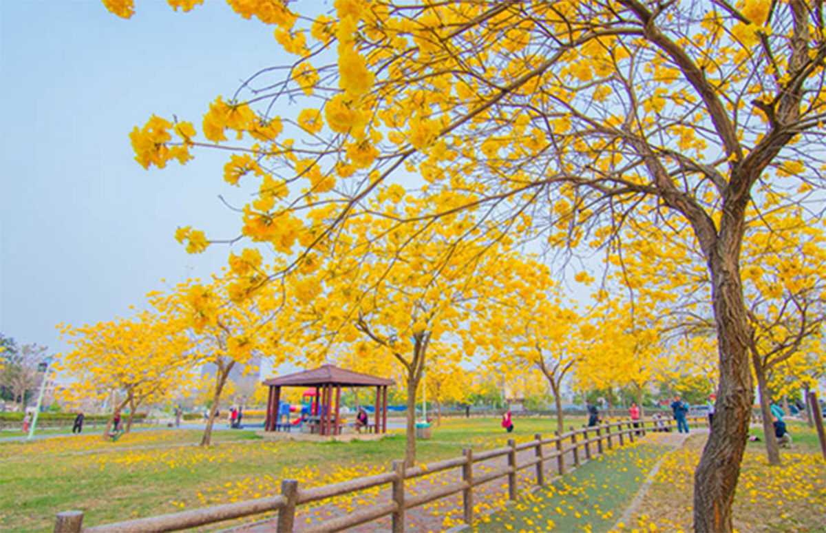 廍子公園