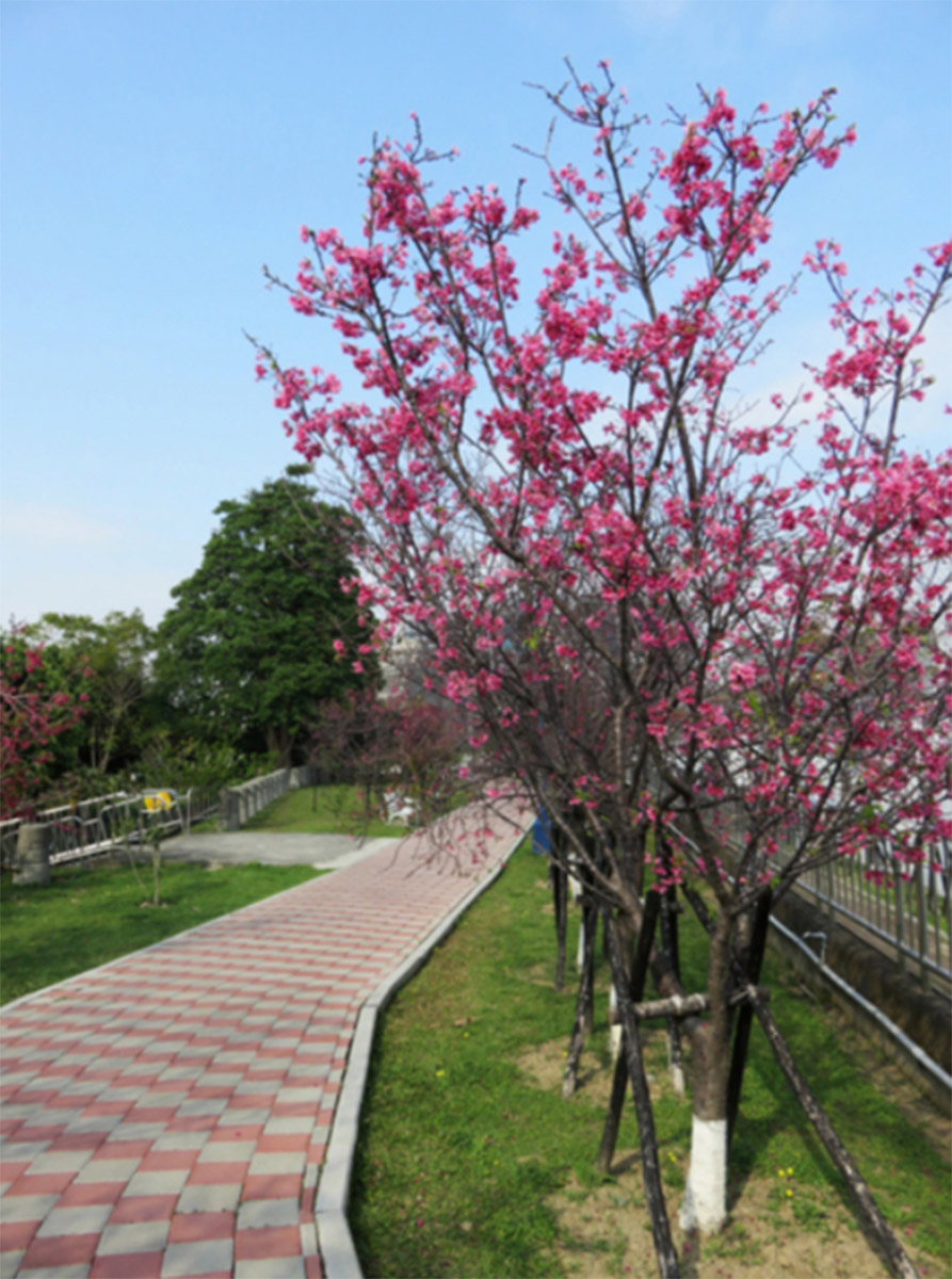 麗園公園