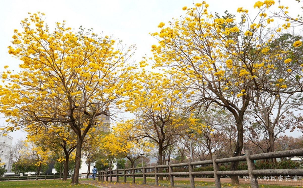 廍子公園